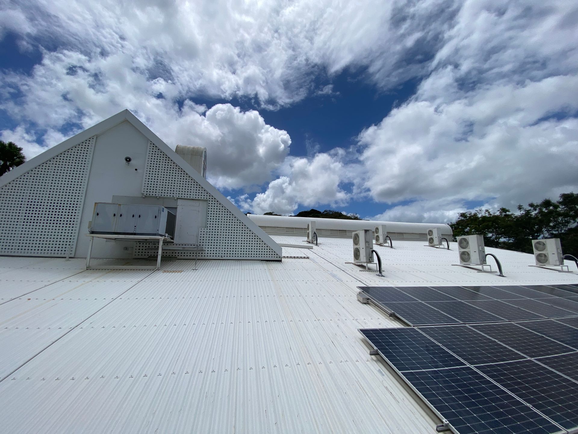Person in Safety Gear Cleaning Solar Panels on a Roof — Zac's Bin and Pressure Cleaning In Parramatta Park, QLD