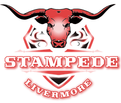 Red and black graphic logo of a longhorn bull head above the text 
