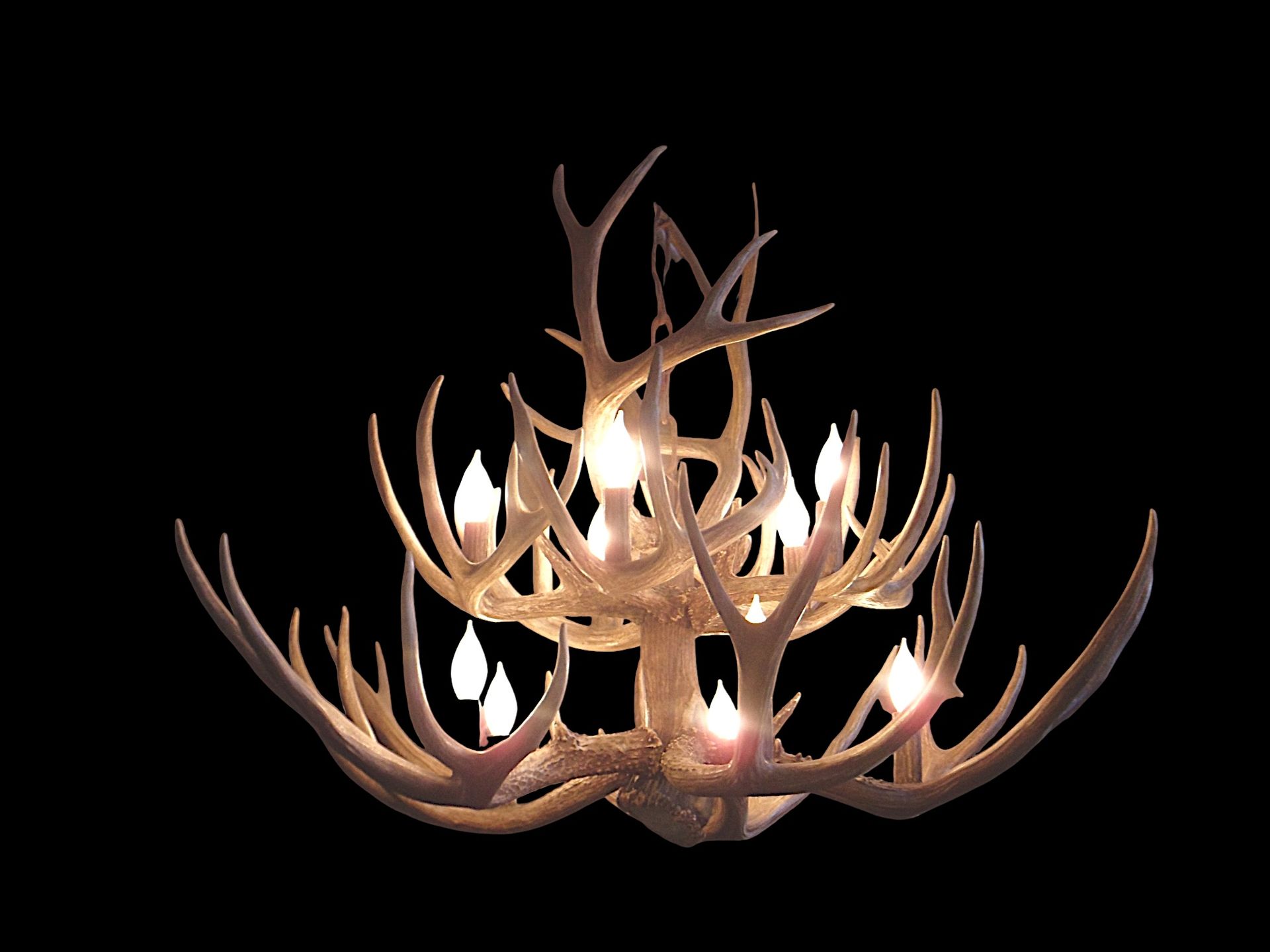 Mule Deer and Whitetail Chandelier, 2 tier 9 lights