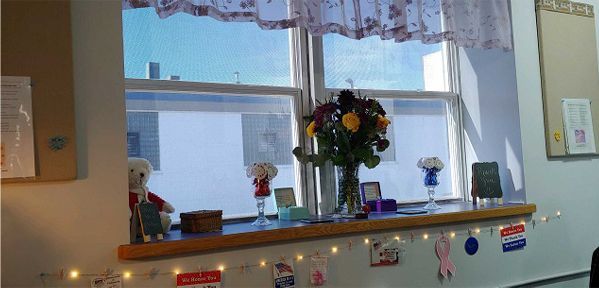 A window with a vase of flowers on it in a room.