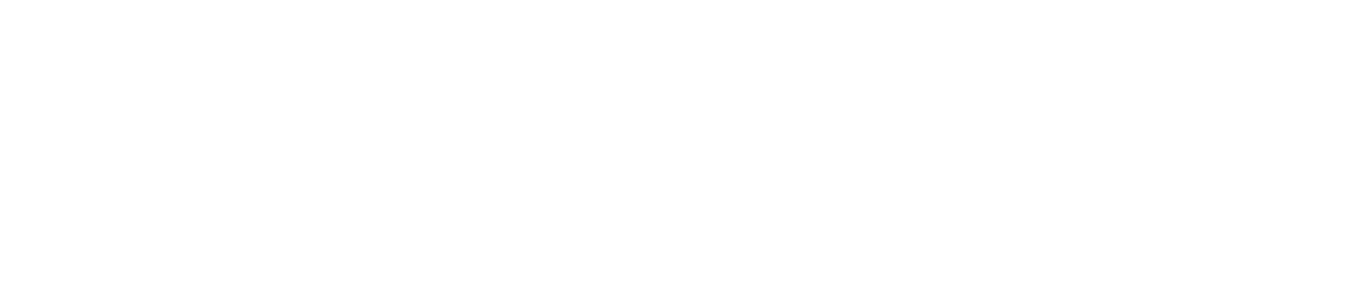 Risk Management Solutions Logo