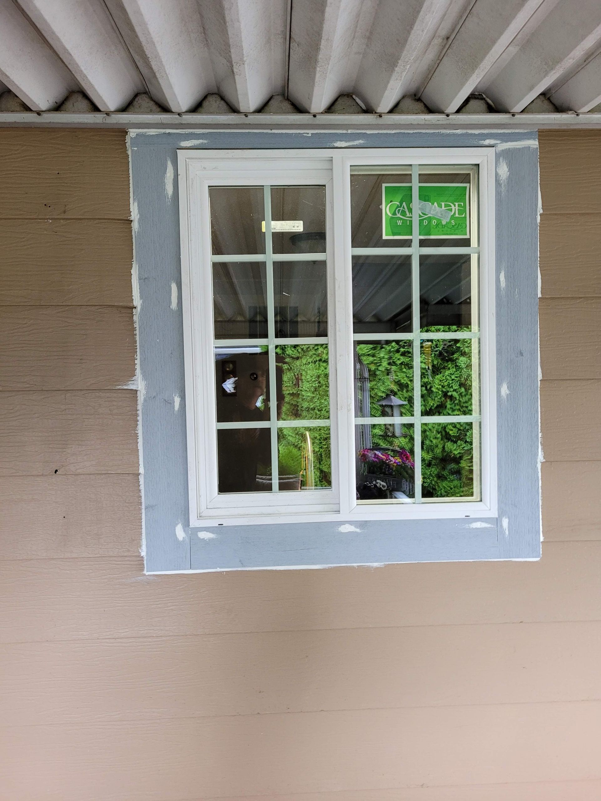 A window with a reflection of trees in it