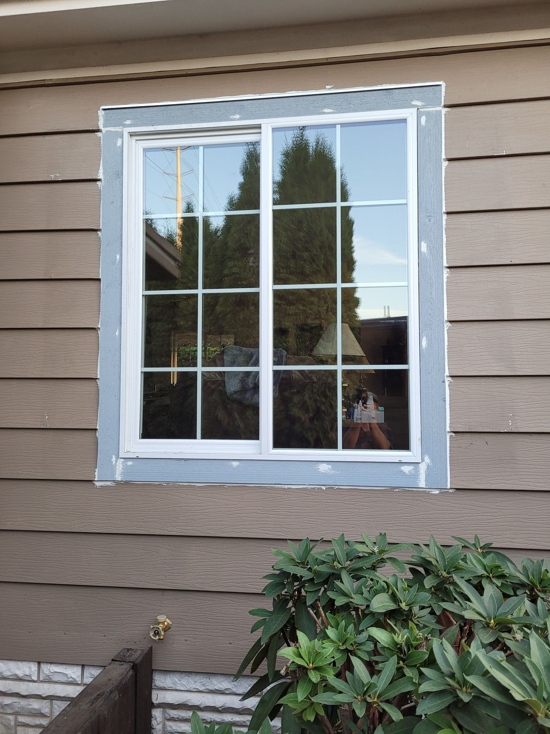A window on a house with a white frame