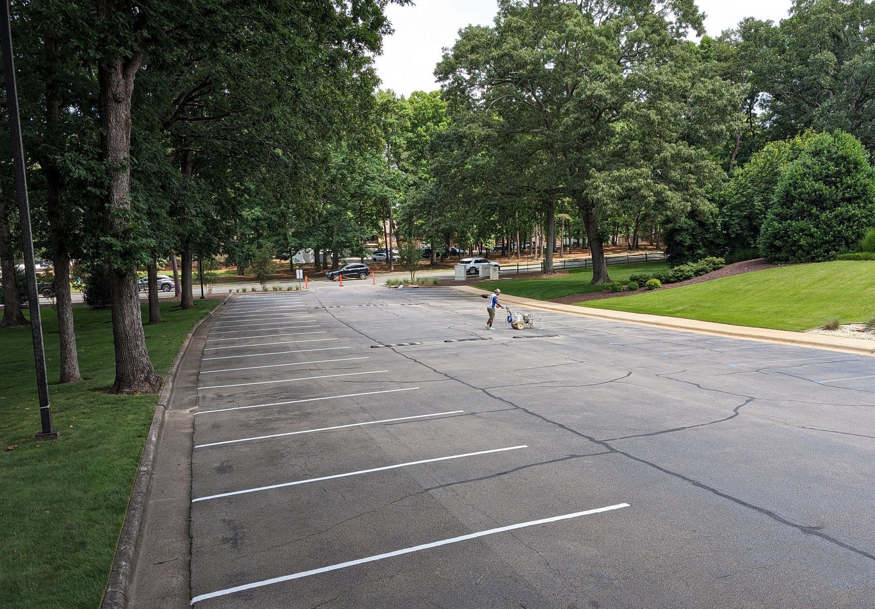 A parking lot with a lot of trees in the background