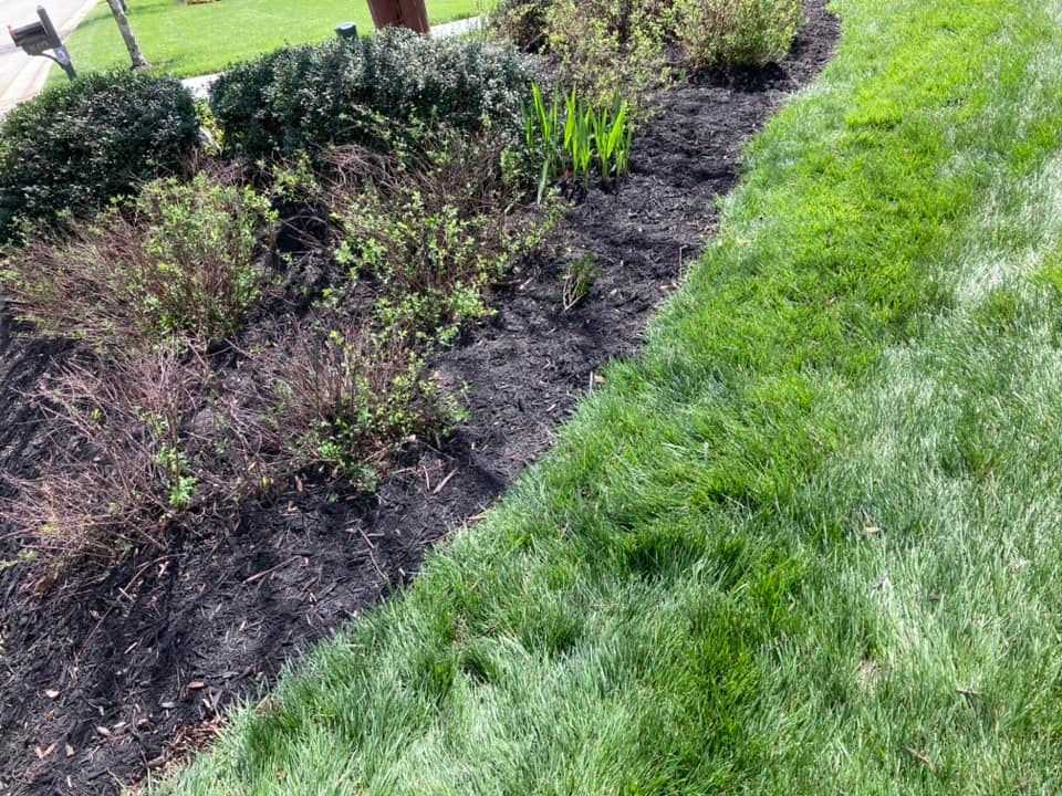 A flower bed with dark mulch and plants borders a strip of vibrant green lawn.