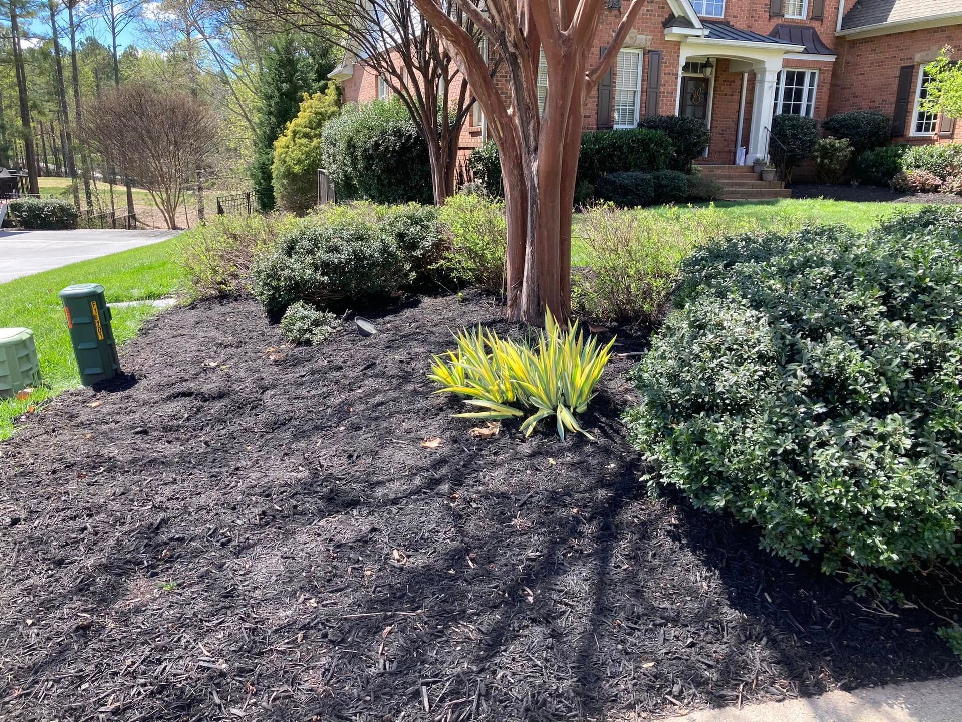 Black mulch in a landscaped yard with shrubs, a tree, and a brick house in the background.