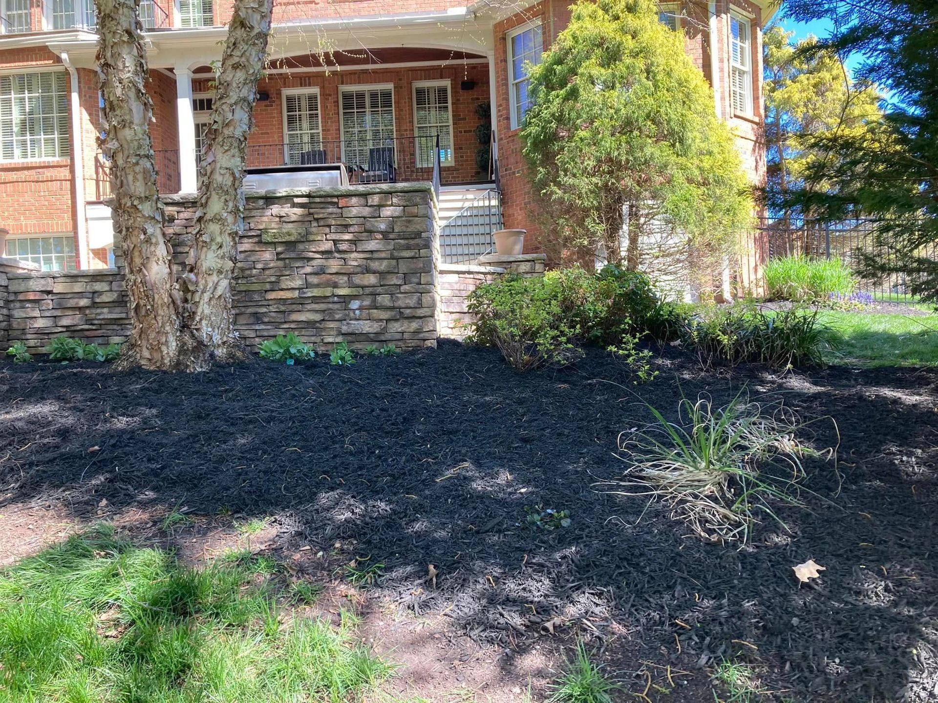 Front yard with black mulch, stone wall, and brick house. Green grass and trees in sunlight.