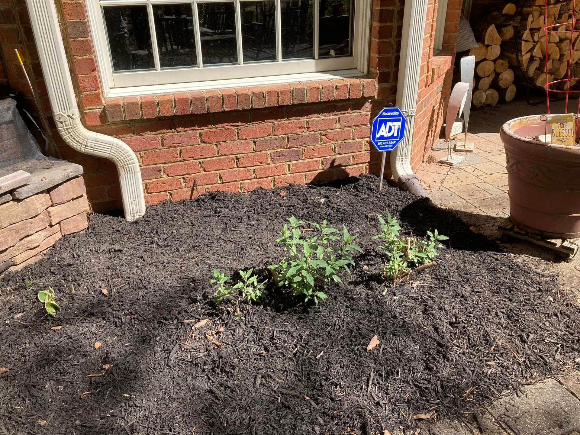 Small plants in dark mulch near a brick wall with a window and an ADT security sign.