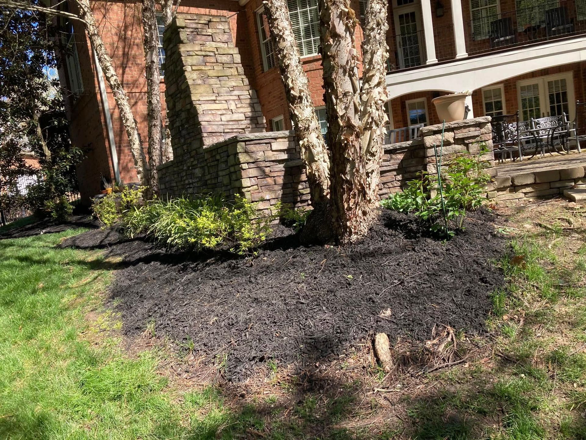 A tree surrounded by black mulch, near a brick building with a stone-lined patio.