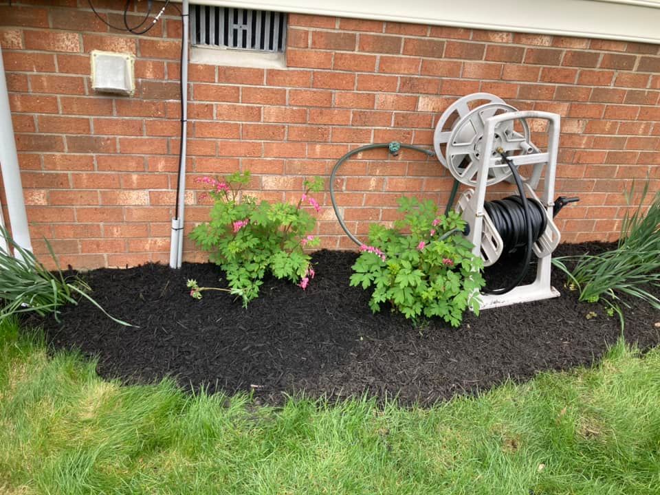 Brick wall with black mulch, two green plants, and a hose reel. Green grass in foreground.