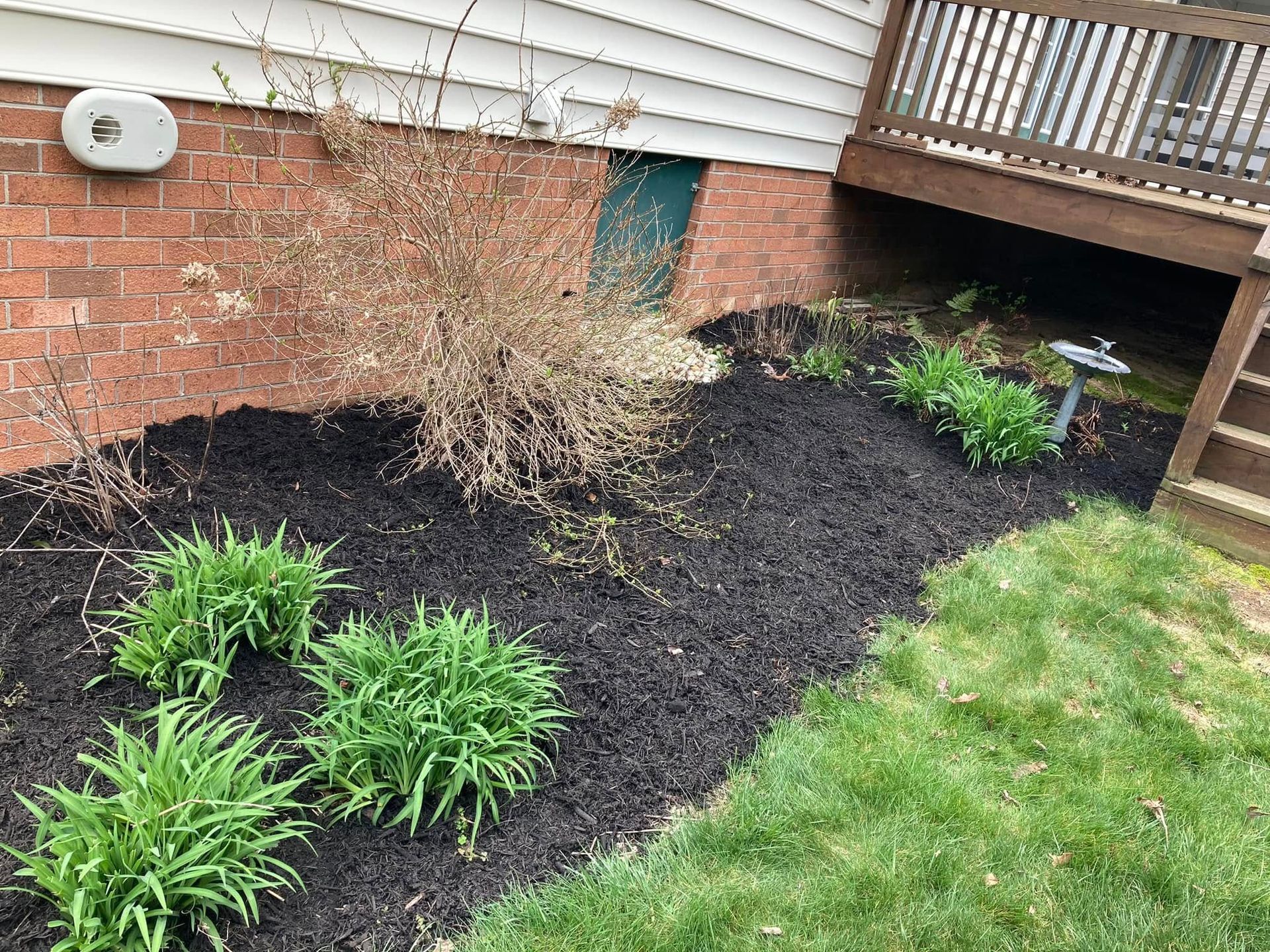 A garden bed with black mulch and green plants next to a house with a deck.