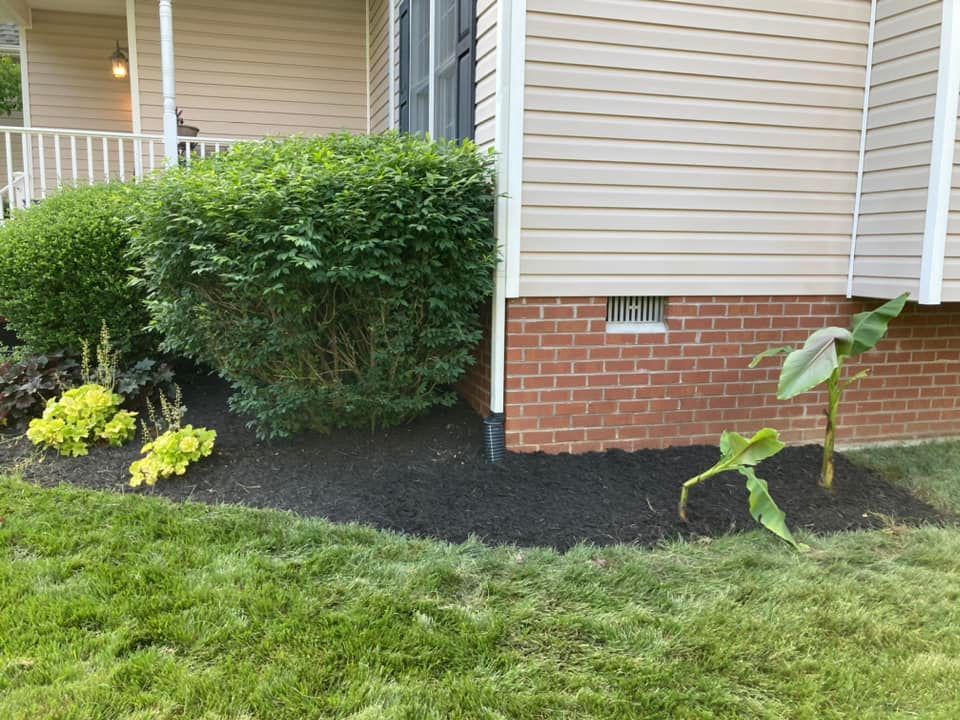 Lush green shrubs and yellow plants with dark mulch surround the corner of a light tan house with a brick foundation and a small banana plant.