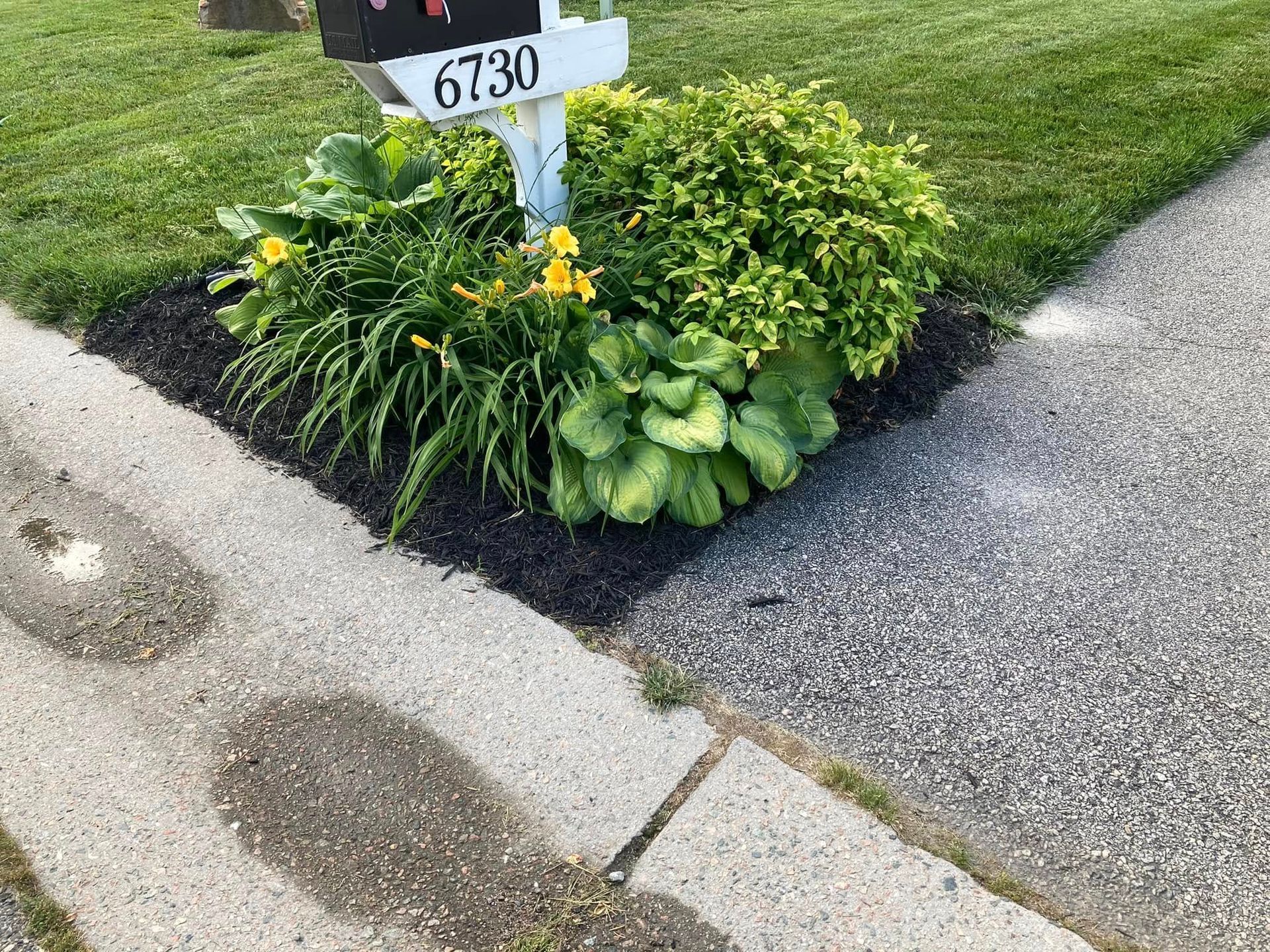 Mailbox with address 6730 surrounded by mulch and plants next to a sidewalk.