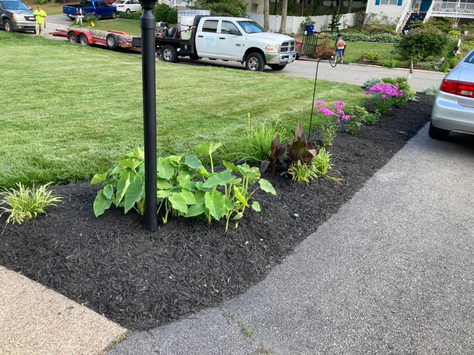 Black mulch flower bed next to driveway, with plants and a lamppost.