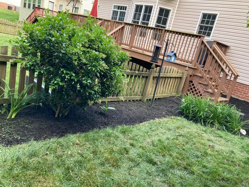 Lush green lawn borders a bed of dark mulch around a shrub and fence, leading to a wooden deck with stairs.