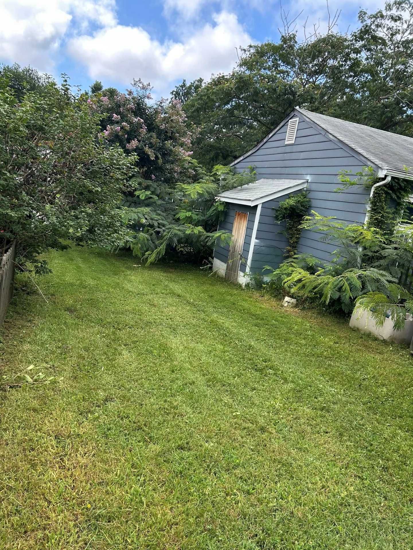 Lawn with a blue house and overgrown trees in the background under a cloudy sky.