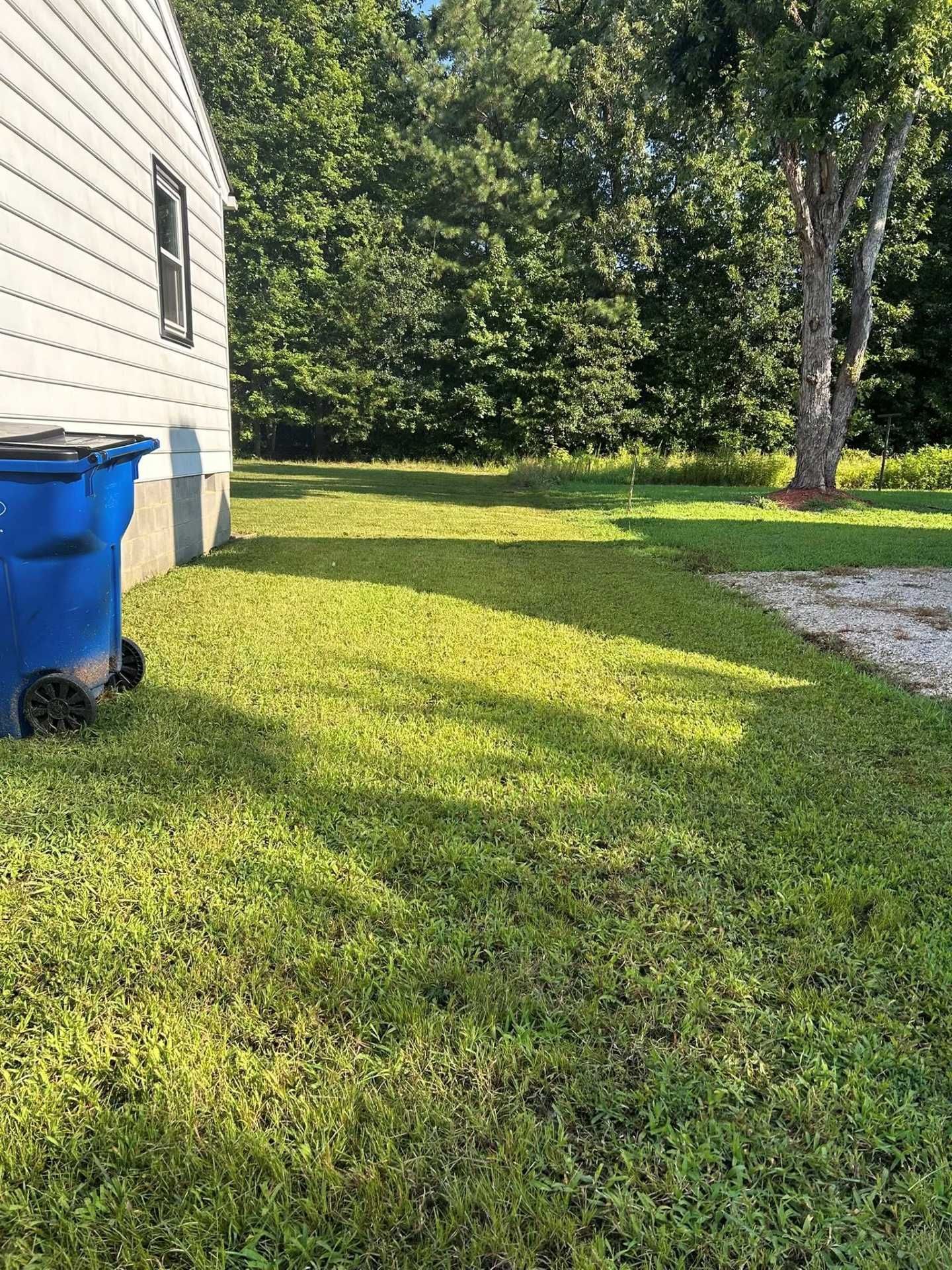 Side of a house with blue trash bin, green lawn, and a tree in the background. Sunlight casts shadows.
