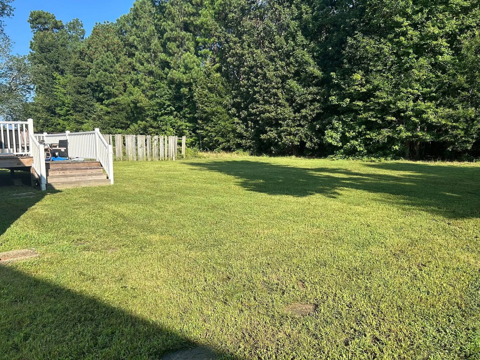 Lawn with a deck, fence, and trees under a clear blue sky.