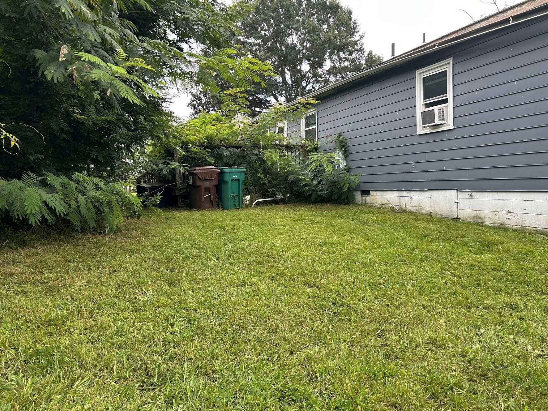 Backyard with grass, trash bins, and a gray house. Lush greenery surrounds the yard. Overcast sky.