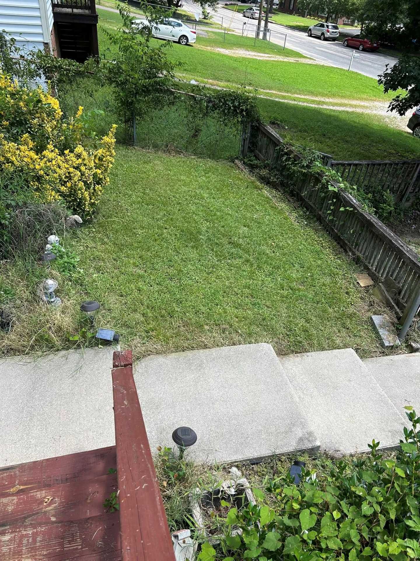 Concrete steps lead to a small grassy yard bordered by a wooden fence, with green foliage and a street in the background.