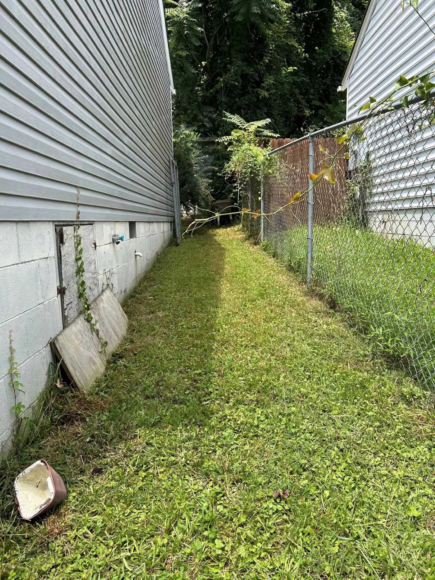 Narrow grassy passage between two buildings. One side has gray siding, the other a chain link fence.
