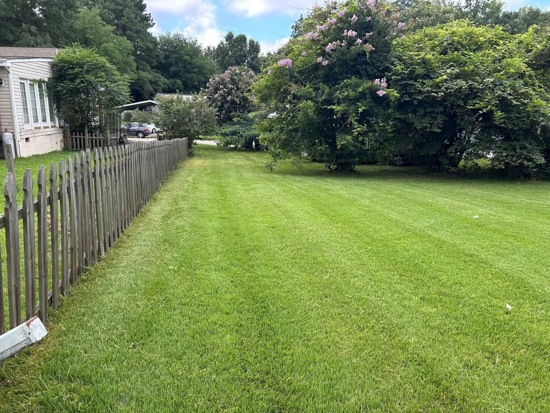 Lush green lawn with a wooden fence on the left and trees in the background under a blue sky.