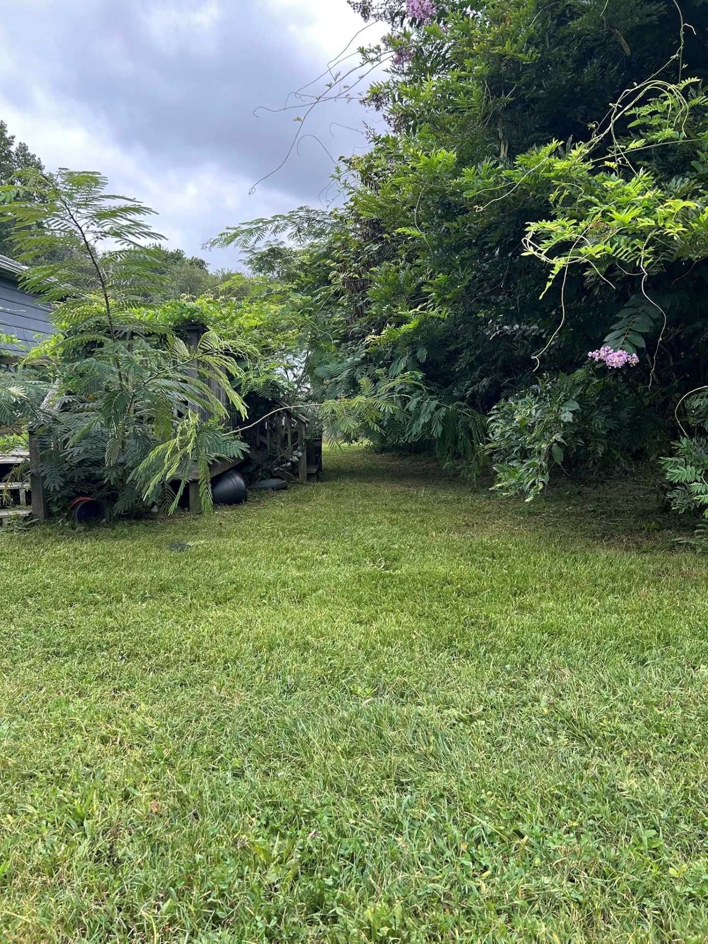 Lush green yard leads to a shaded pathway, surrounded by dense trees and foliage under a cloudy sky.