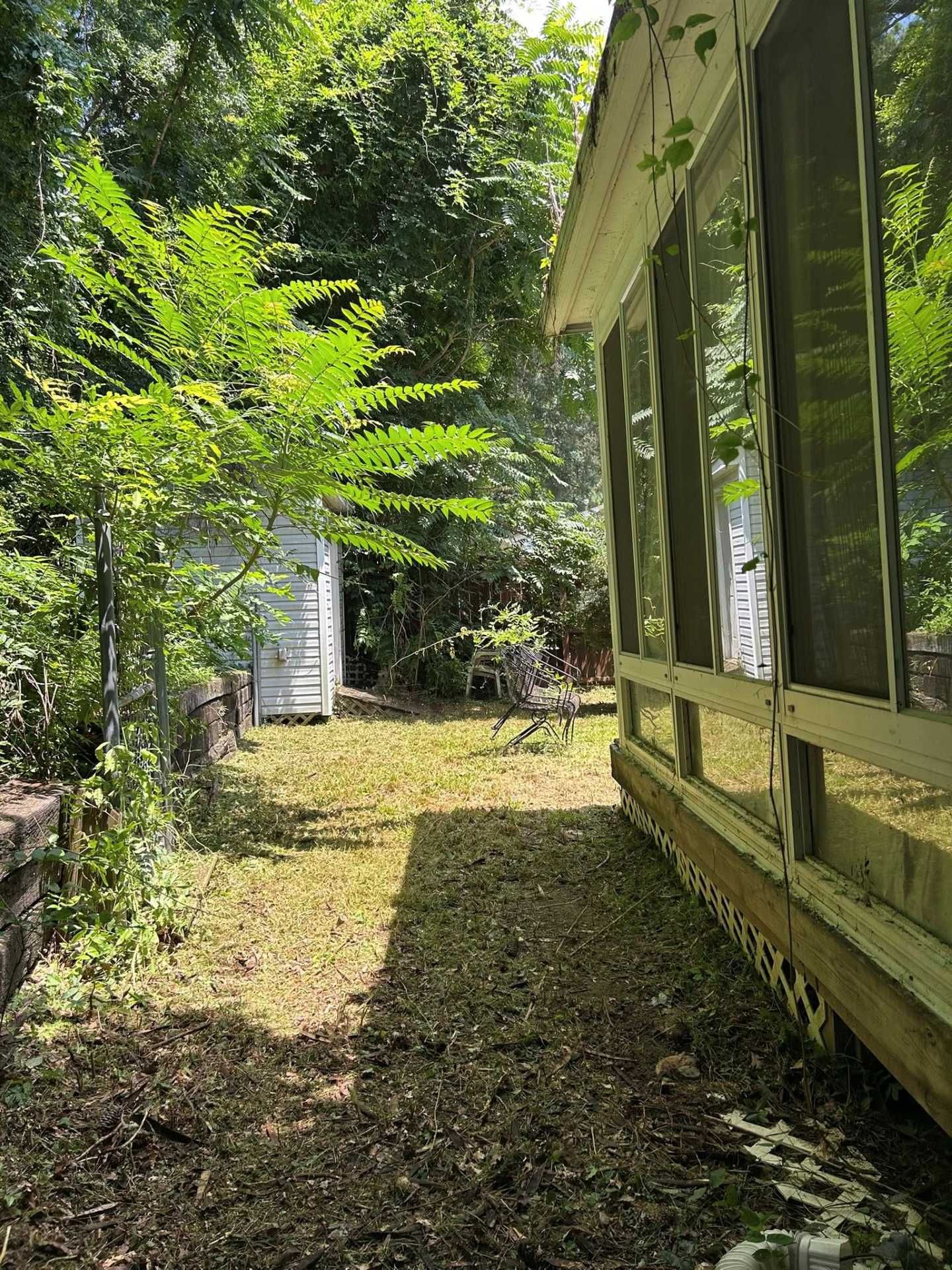 Backyard with shed, trees, and screened porch on a sunny day.