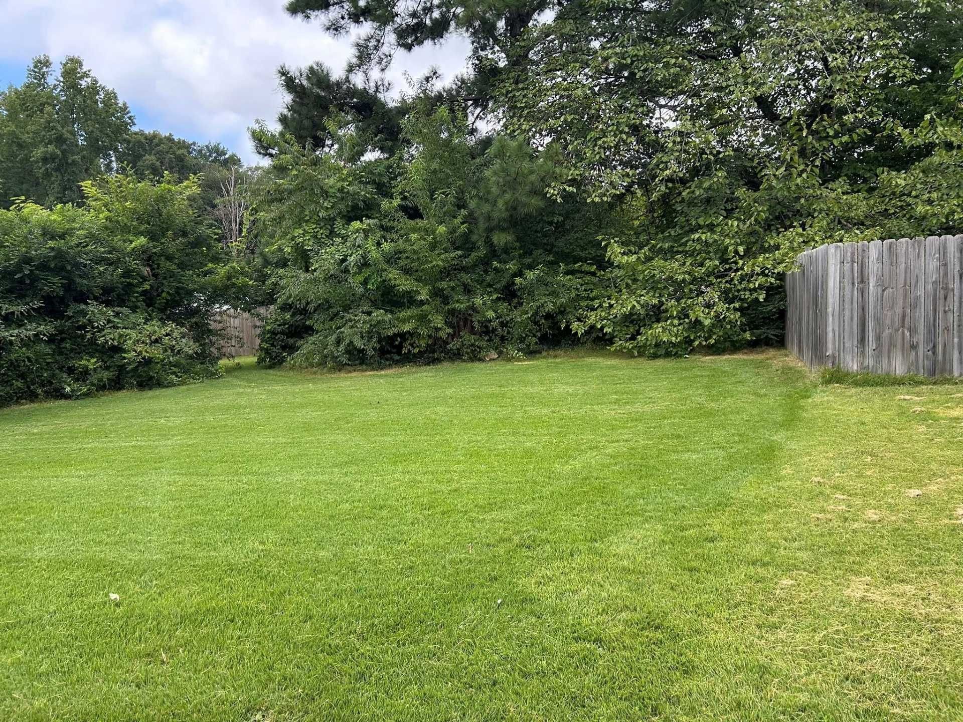 Lush green lawn with trees and a wooden fence under a partly cloudy sky.