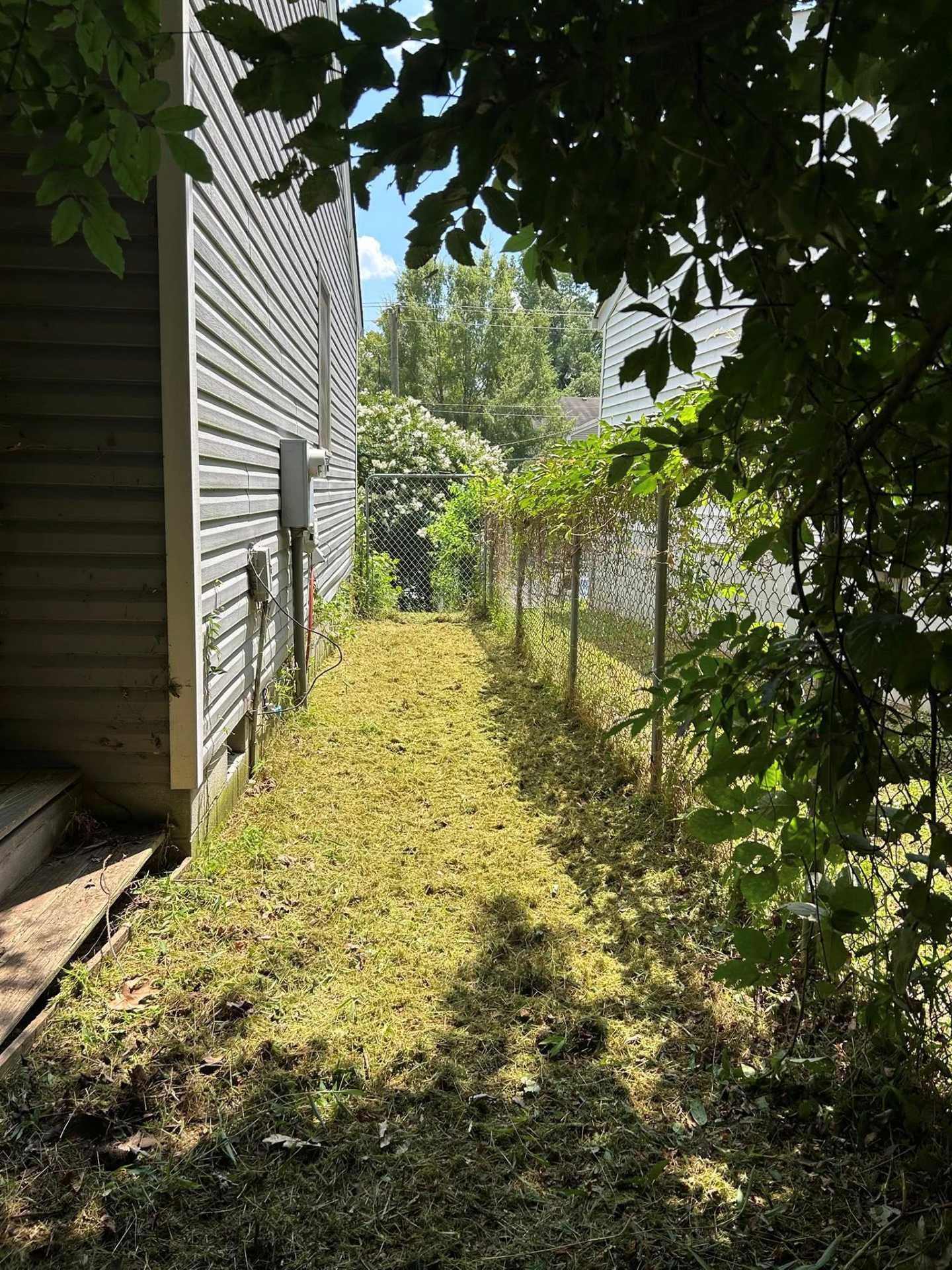A narrow, freshly mowed grassy area between a gray house and chain-link fence, viewed from under tree branches.