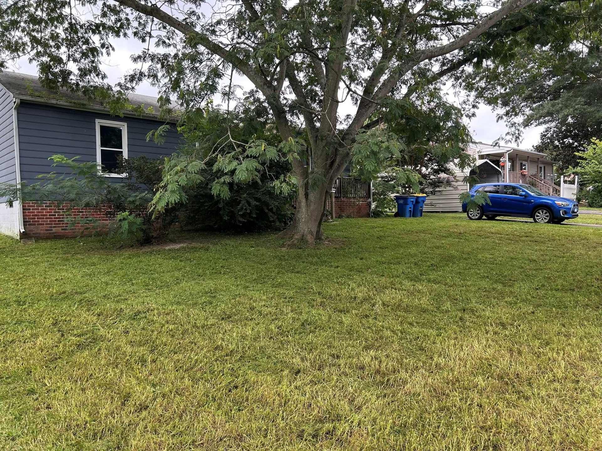 A grassy yard with a tree, a blue car, and a dark blue building with a white-framed window.