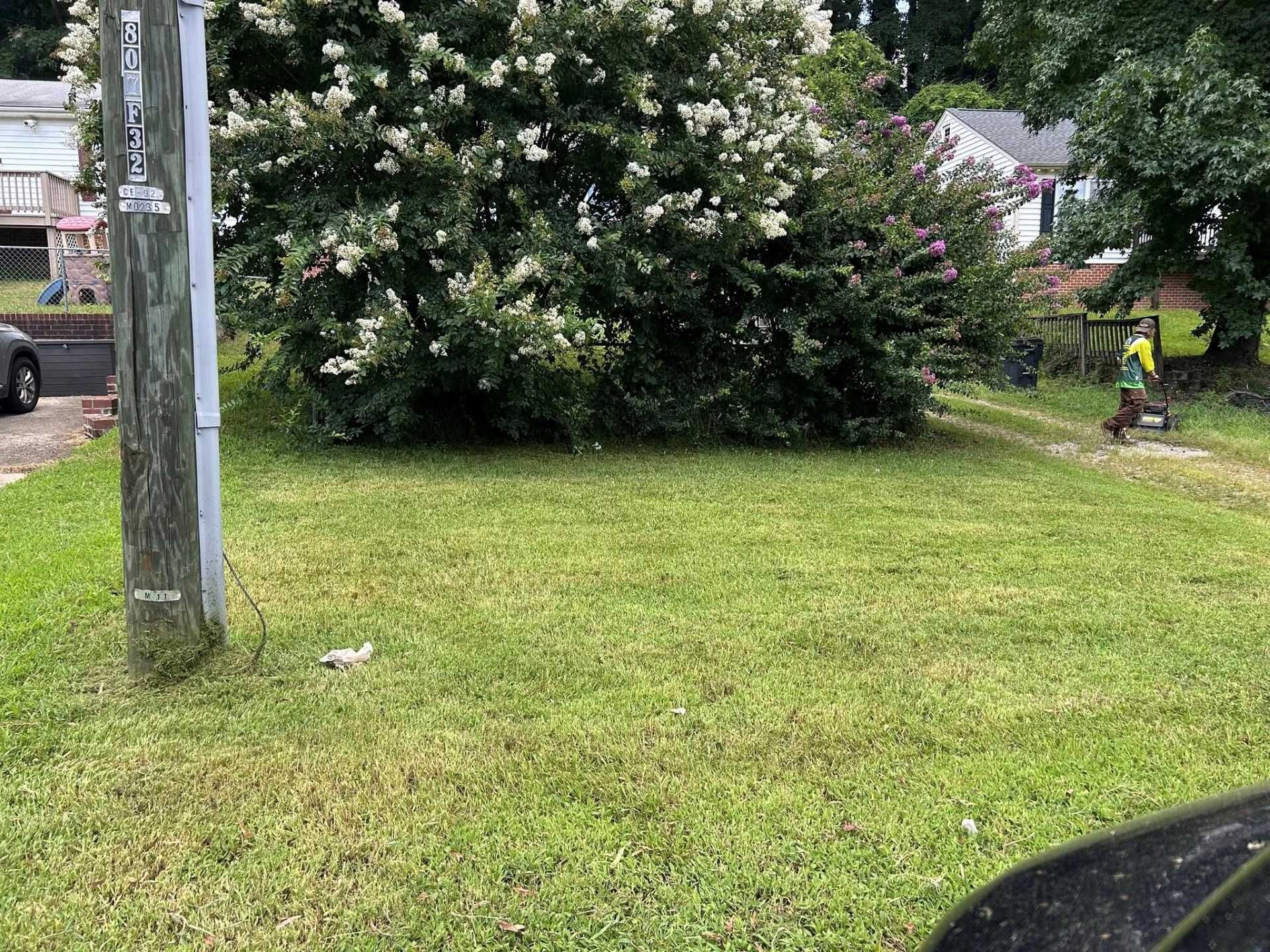 Lawn with a large bush and a person walking in the distance near a wooden fence and houses.