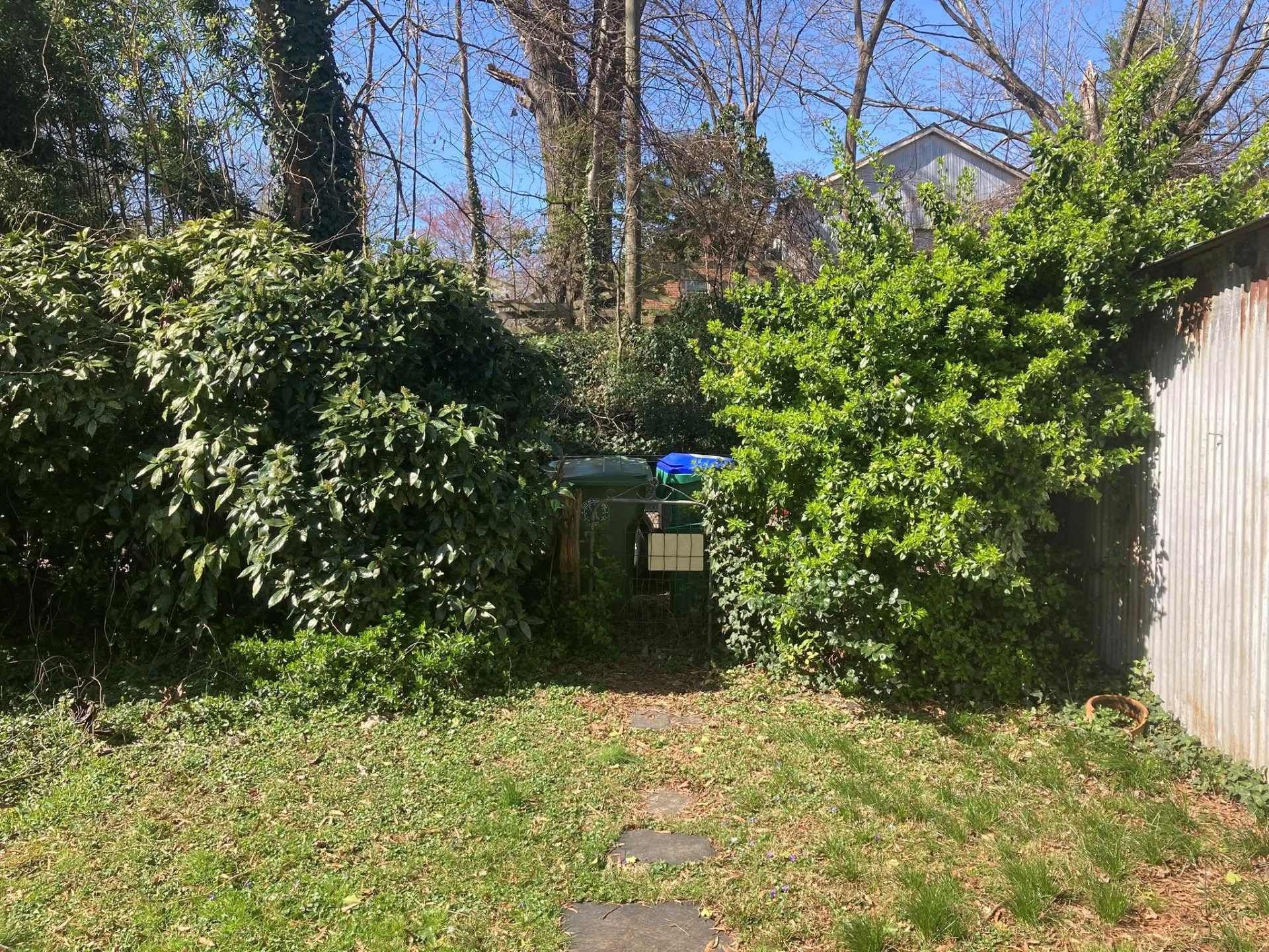 A backyard with overgrown bushes framing a pathway leading to a gate and fence.