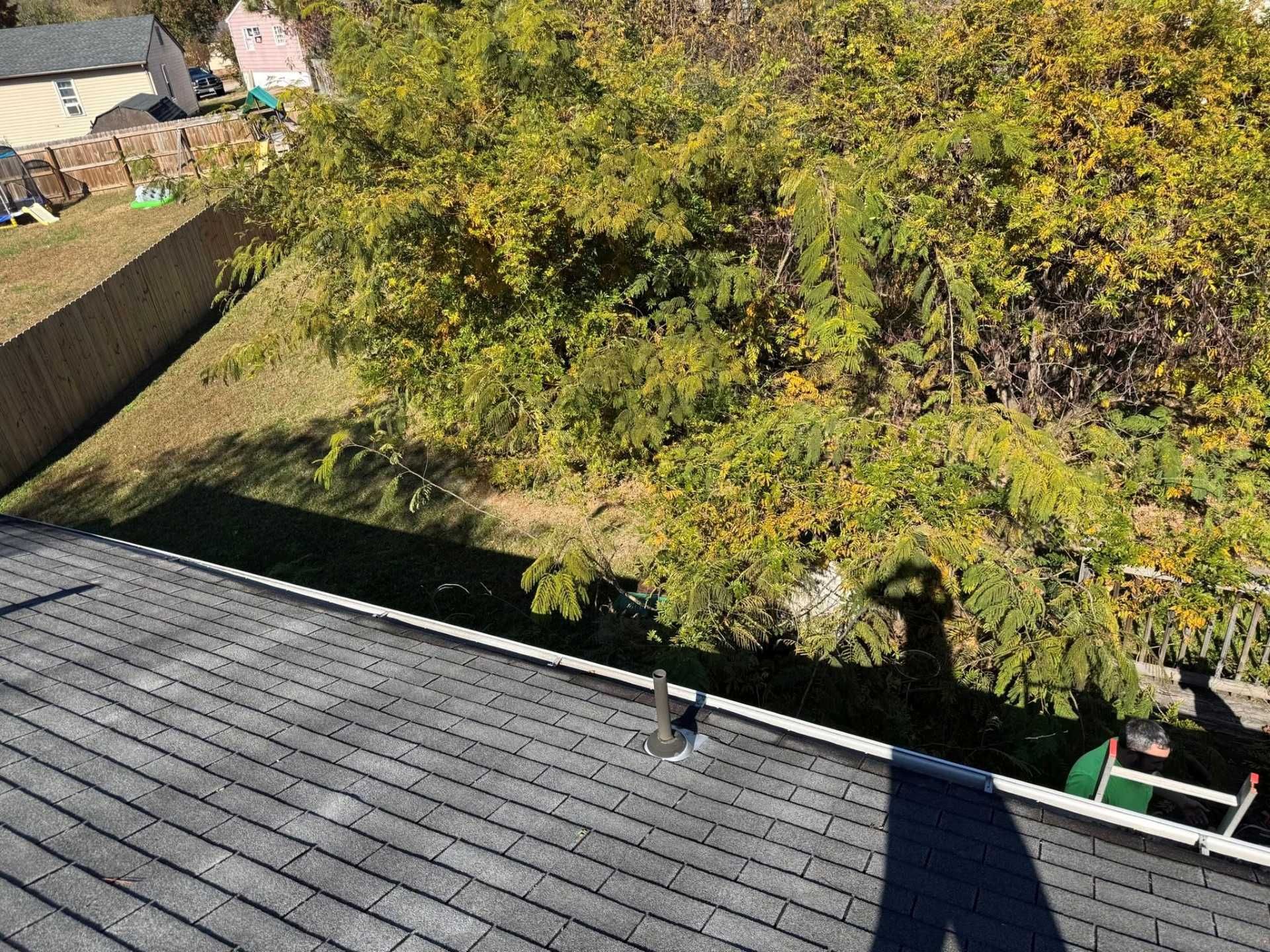 View from a rooftop, looking at a large tree and backyard. Shadow of the person taking the photo visible.