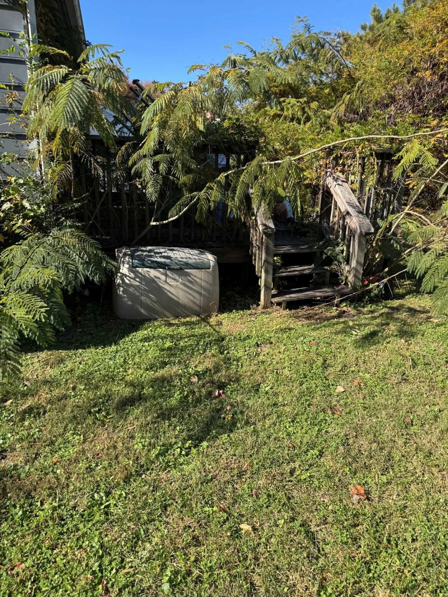 Overgrown backyard: circular tub, weathered wooden steps, lush green foliage, sunny day.