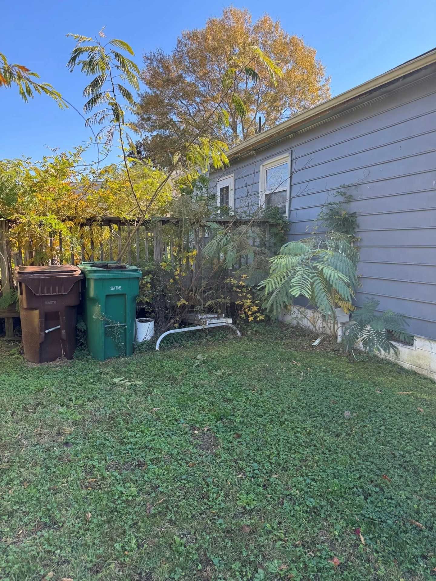 Backyard scene with trash bins, a house with gray siding, and green grass.