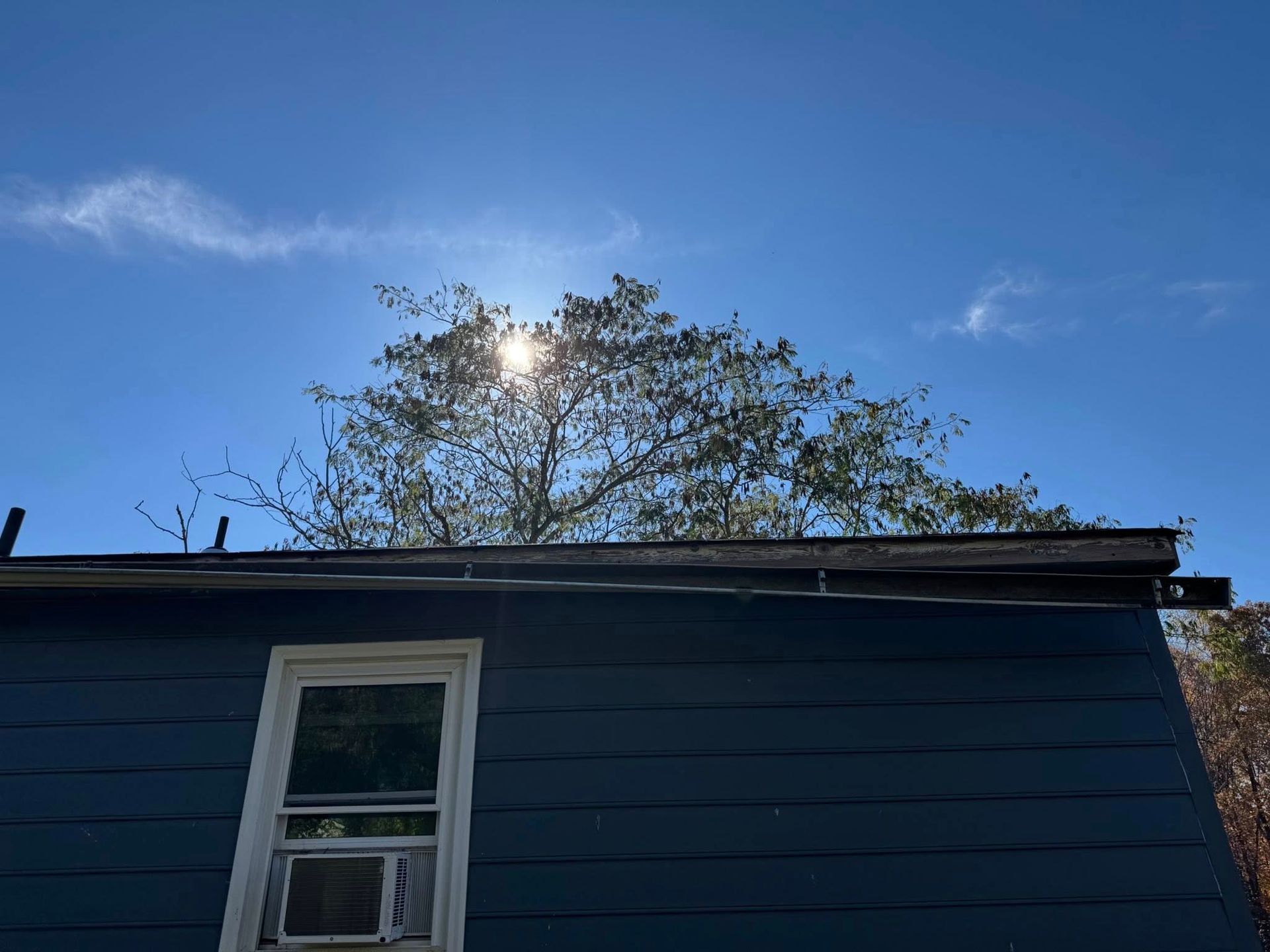 Blue-sided building with window and air conditioner. Bright sun shines through the trees and blue sky.