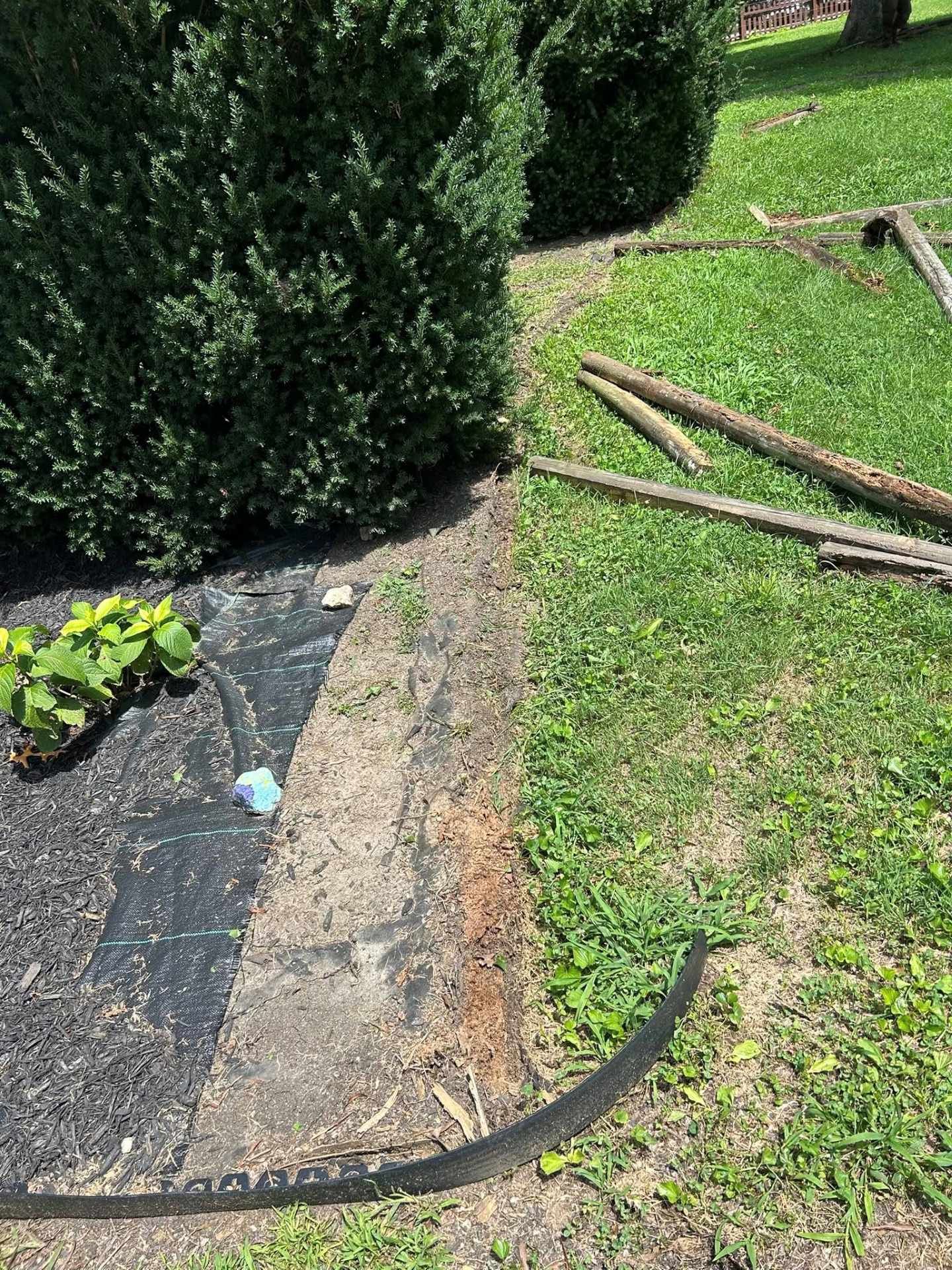 A black landscape border surrounds a flowerbed, with a bush and grass visible.