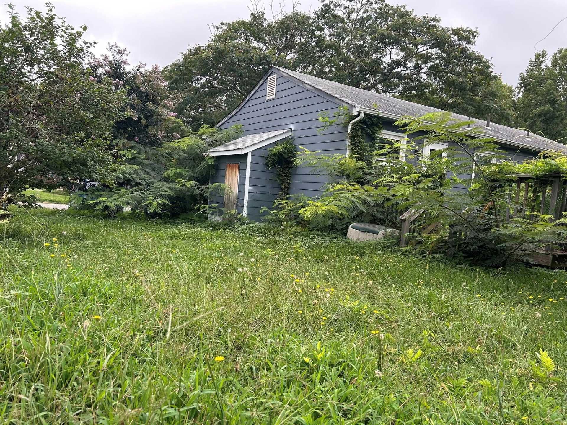Overgrown house with gray siding, obscured by greenery and tall grass.