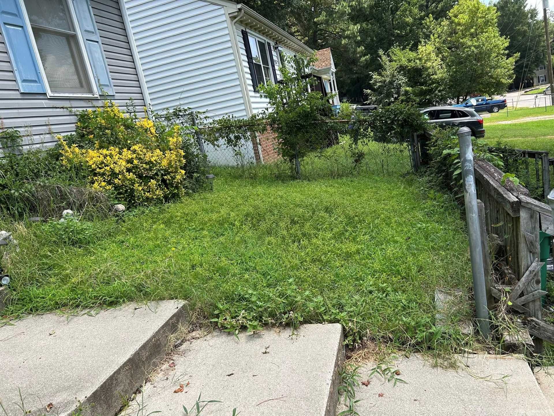Overgrown front yard with untended grass and steps leading to a house.