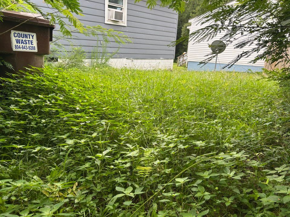 Overgrown yard with weeds and grass. Buildings and a trash bin are in the background.