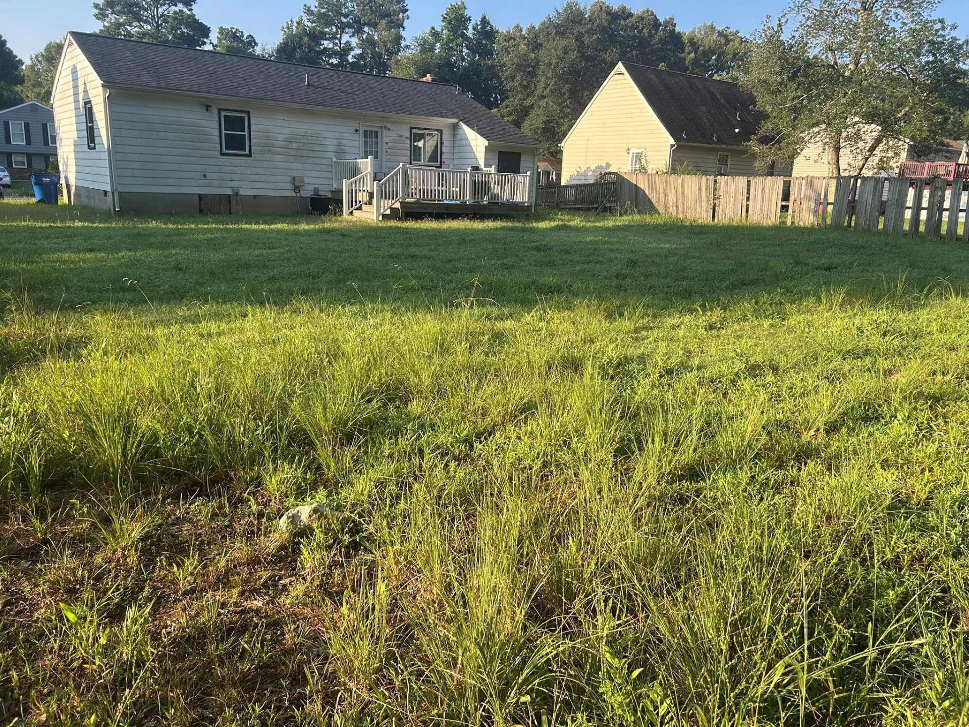 Overgrown grassy yard with a house and fence in the background on a sunny day.