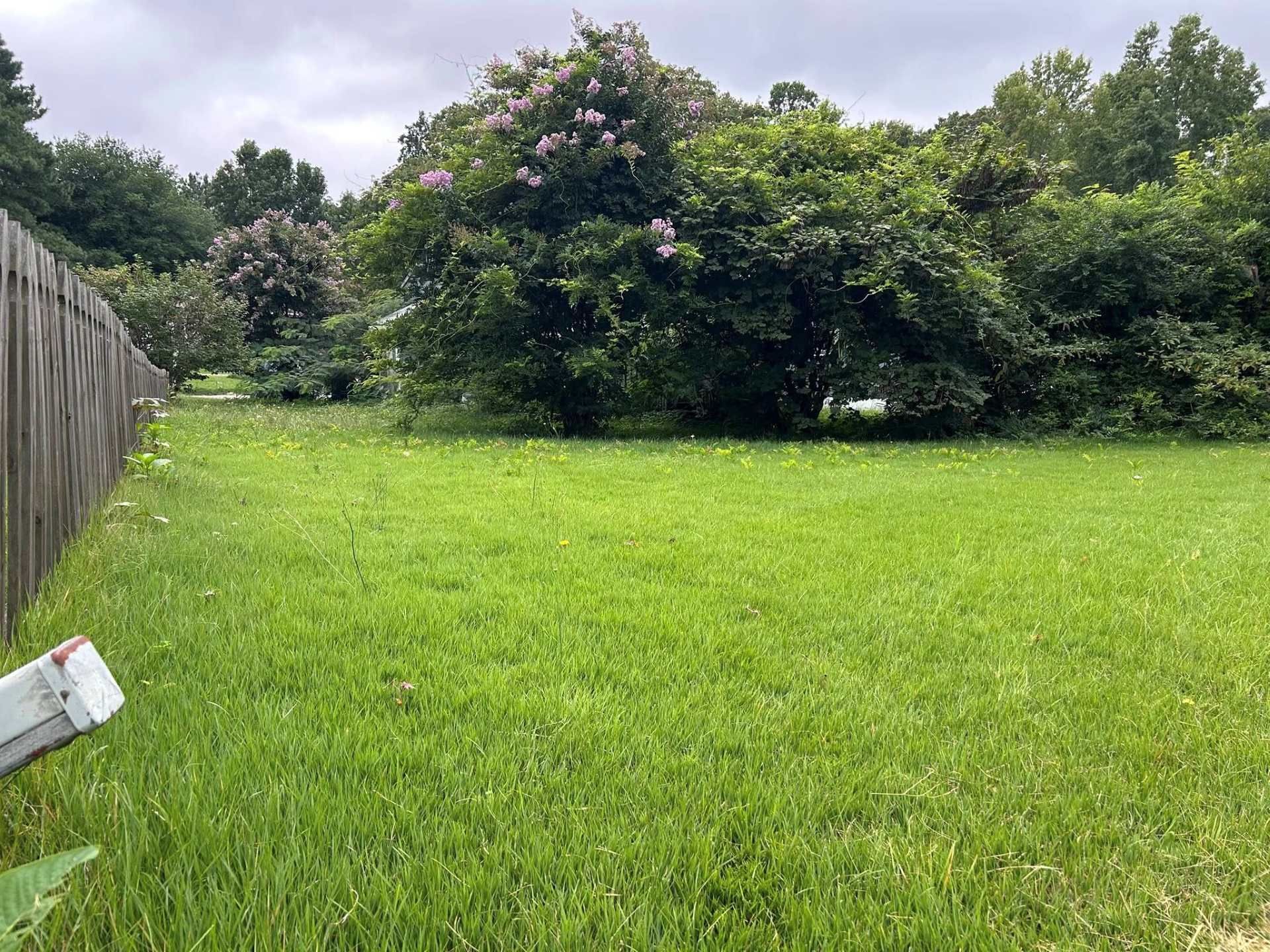 Green lawn with a wooden fence on the left and trees in the background under a cloudy sky.