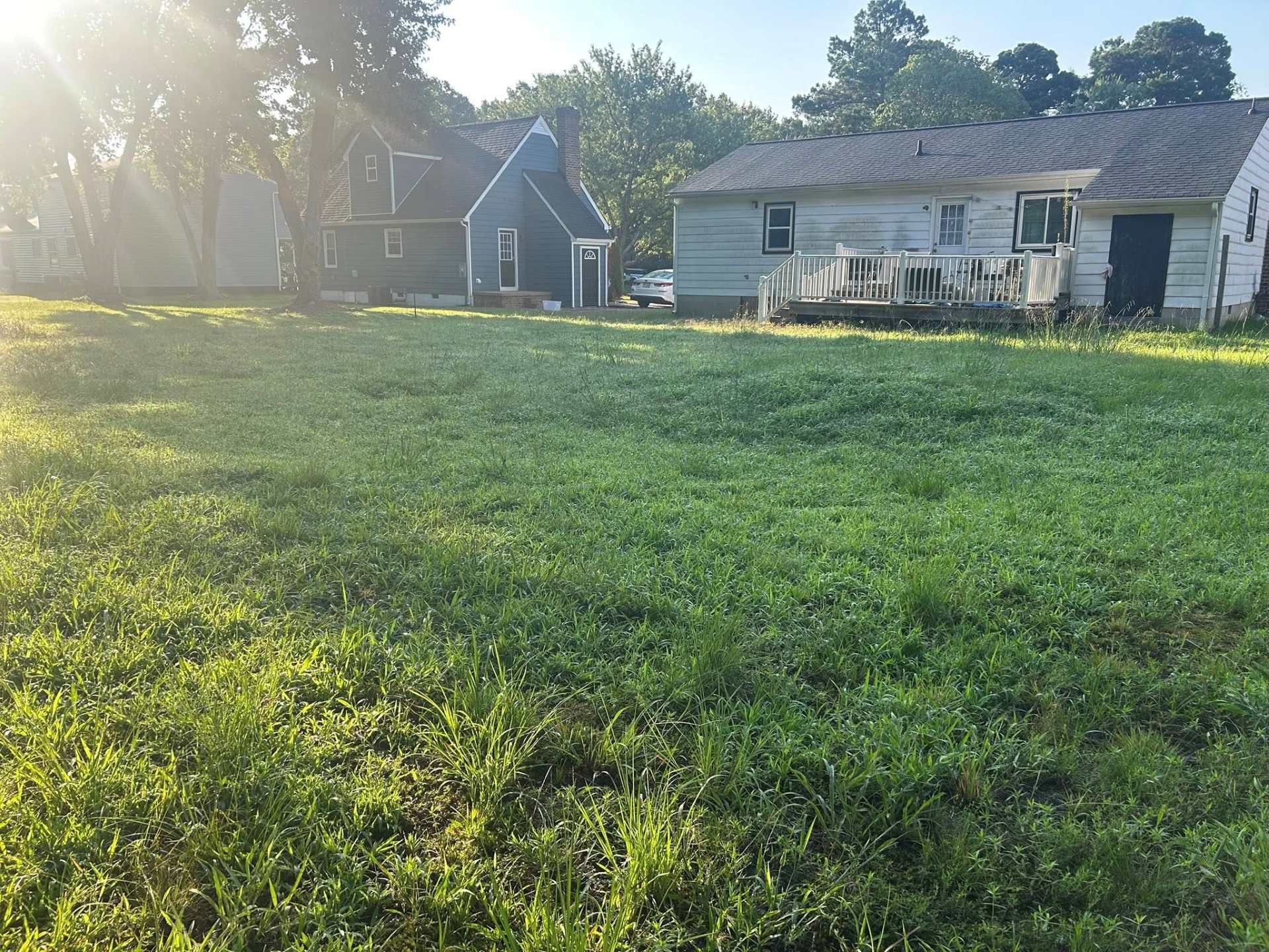 Grassy lot with two houses in the background; a white house on the right and a blue house on the left.