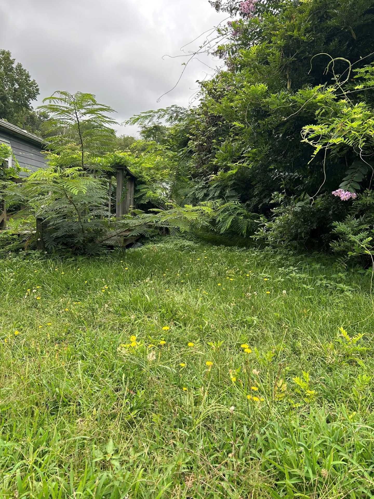 Grassy field with overgrown vegetation in front of a stone structure and lush trees under a cloudy sky.