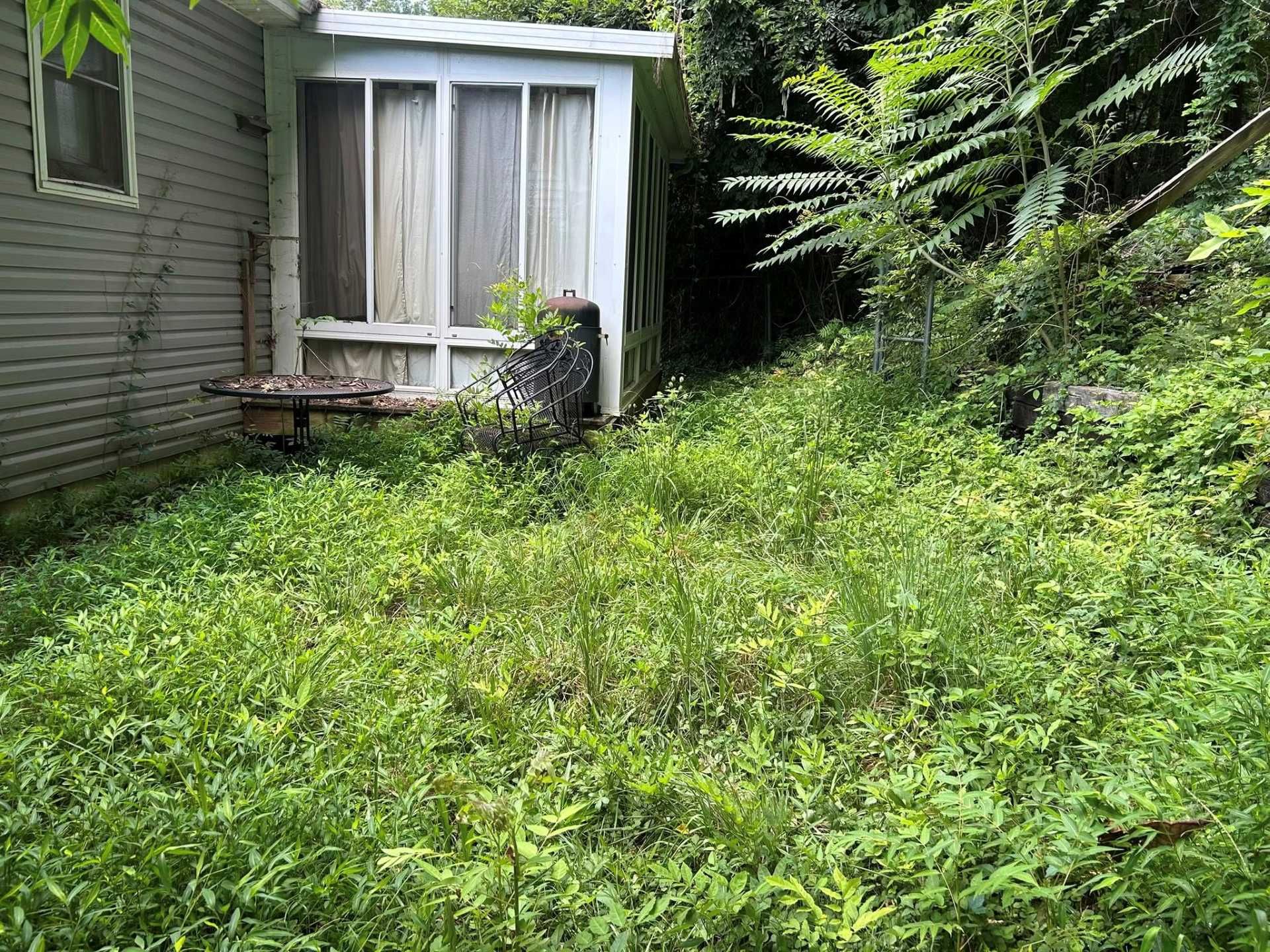 Overgrown yard next to a weathered house with a screened porch. Green vegetation dominates the space.
