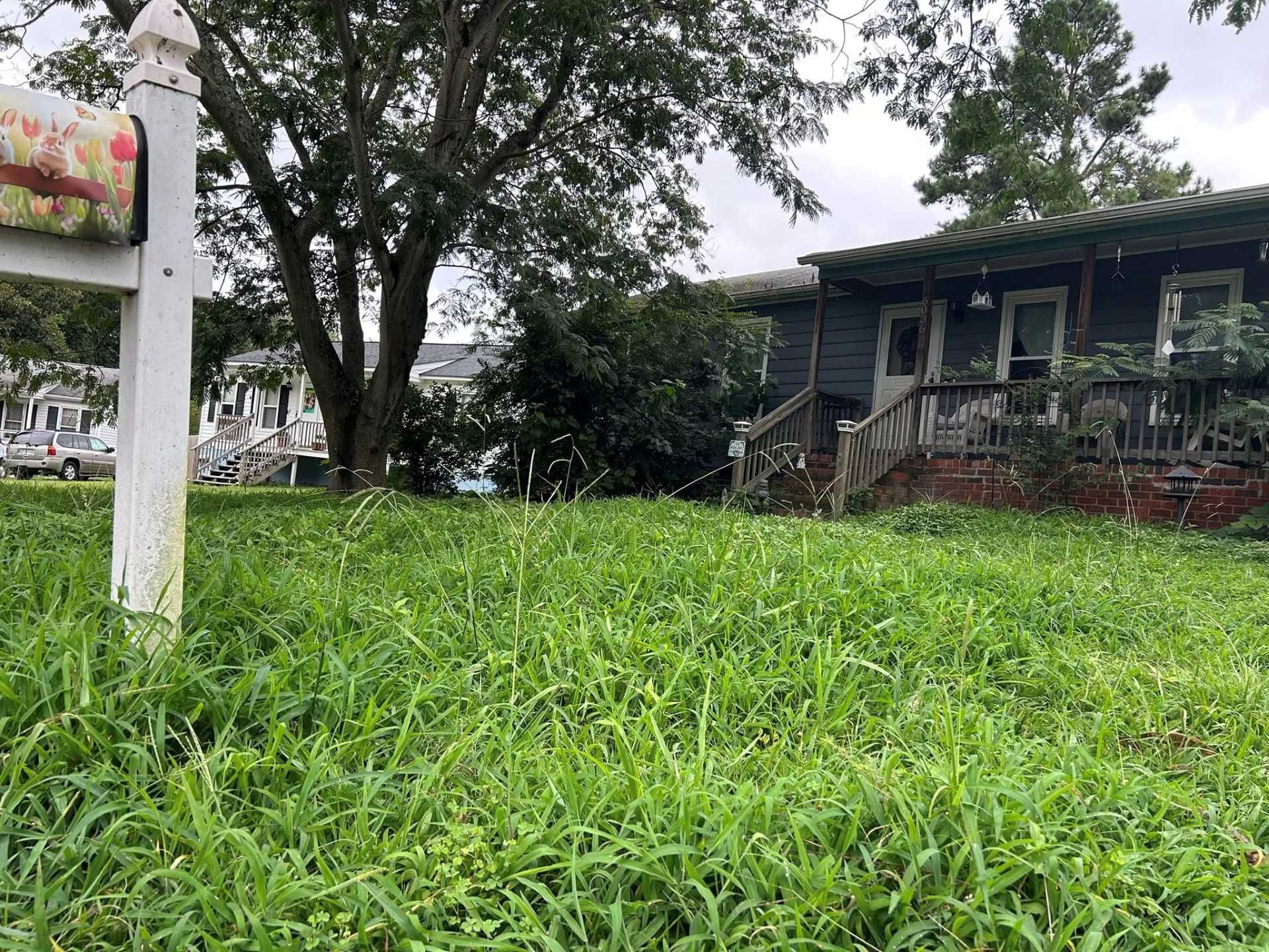 Overgrown grassy yard with a white mailbox and a dark house in the background.