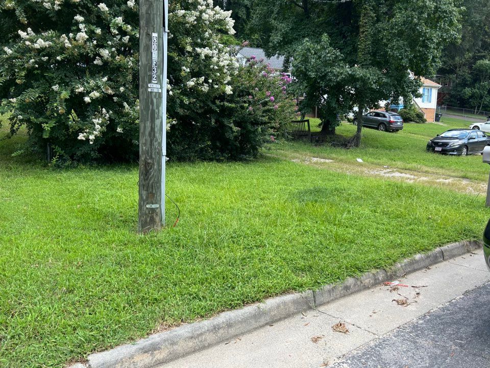 Green grassy lawn next to a gray curb and a utility pole. Cars and houses are in the background.