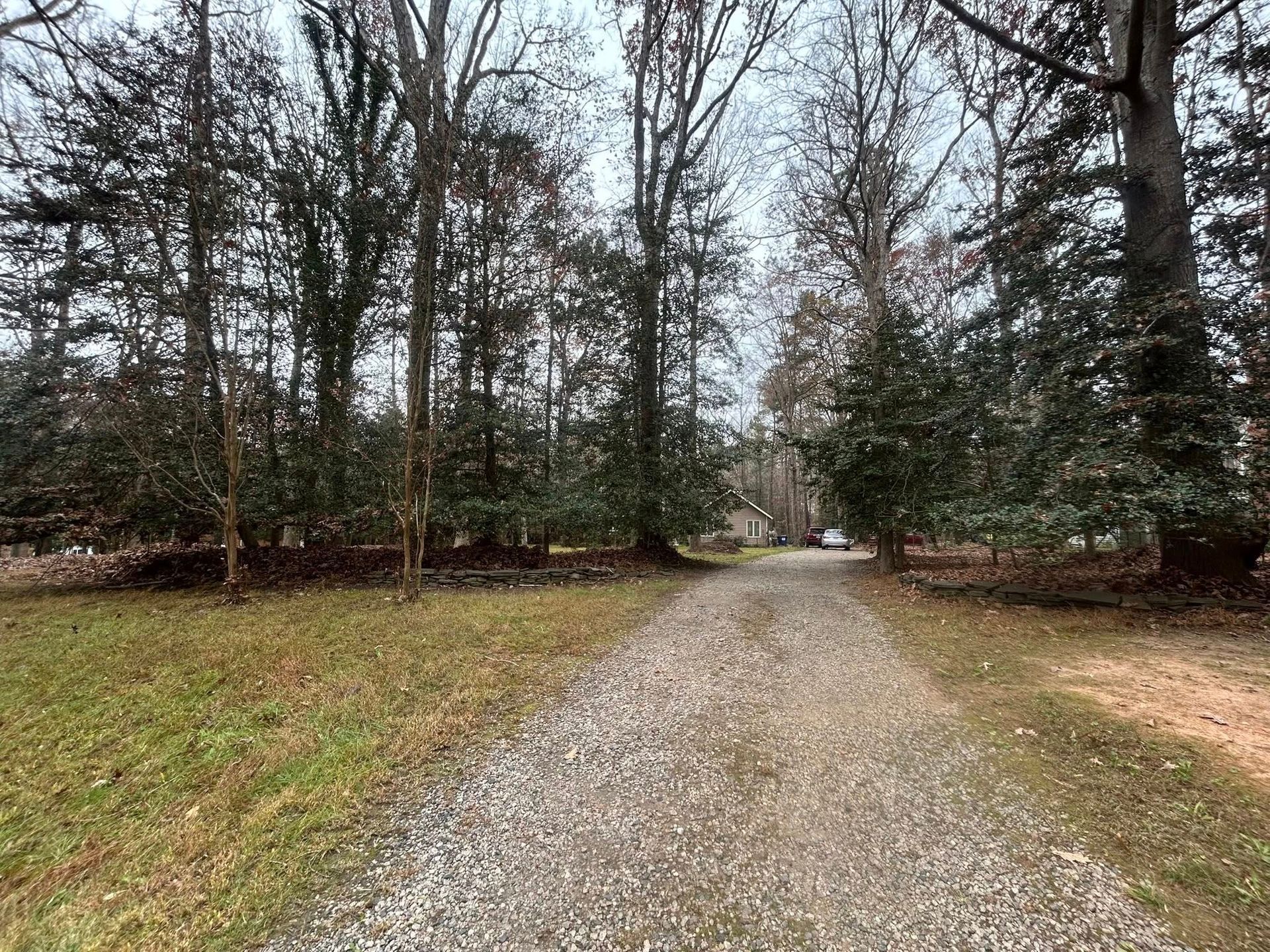 Gravel driveway leading through trees on a cloudy day. Green grass borders the drive.