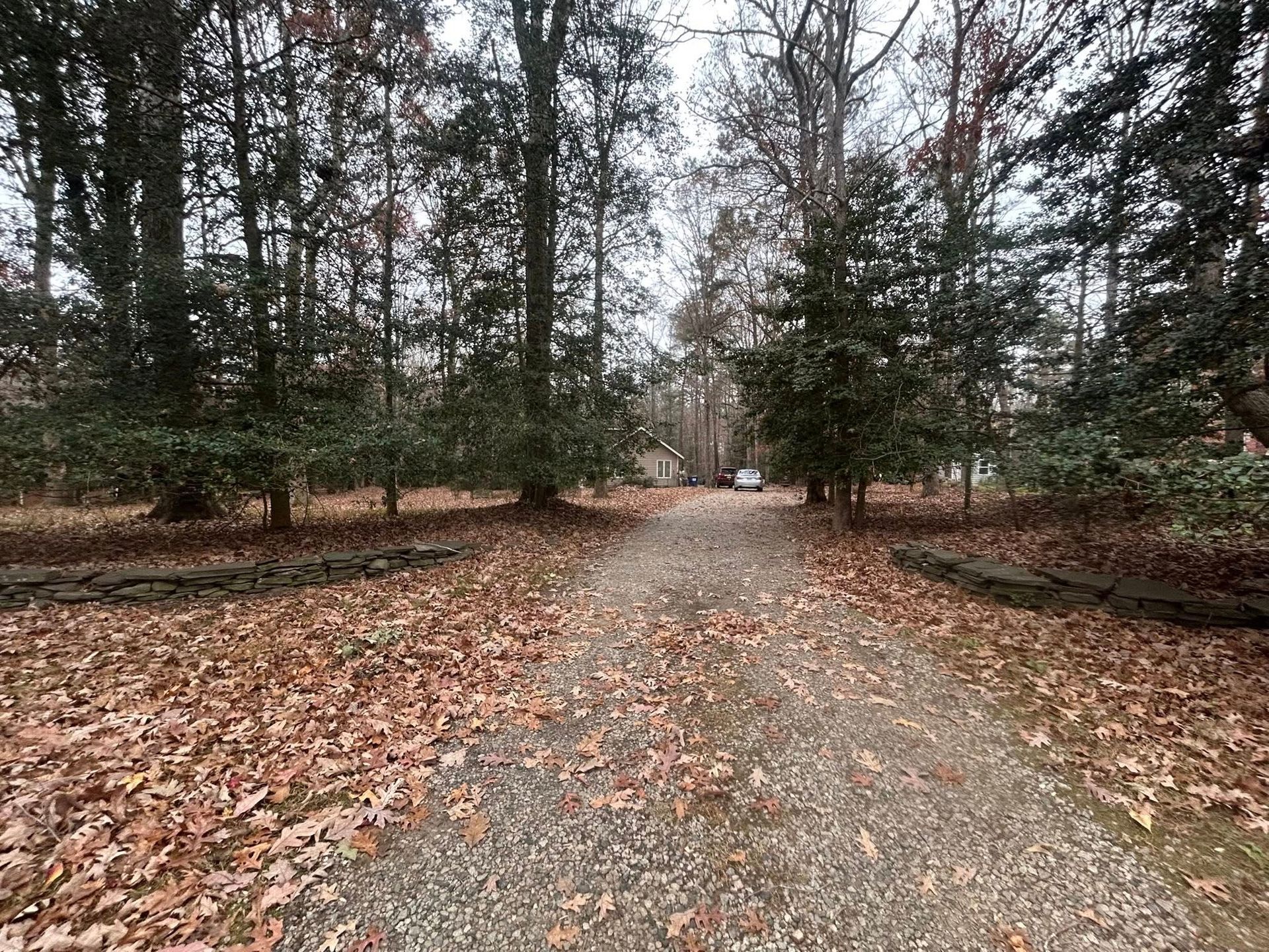 Gravel driveway through trees covered in fall leaves, leading to a building. Overcast day.